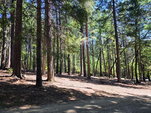 2940 Bear Creek Road, Weaverville, CA 96093