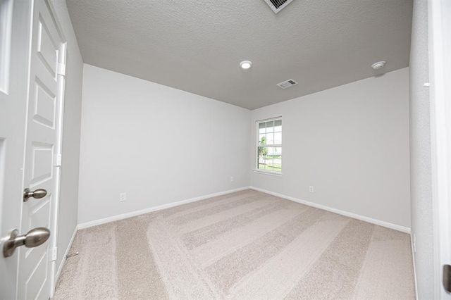 8106 Vanilla Orchid Drive, Houston, TX 77016