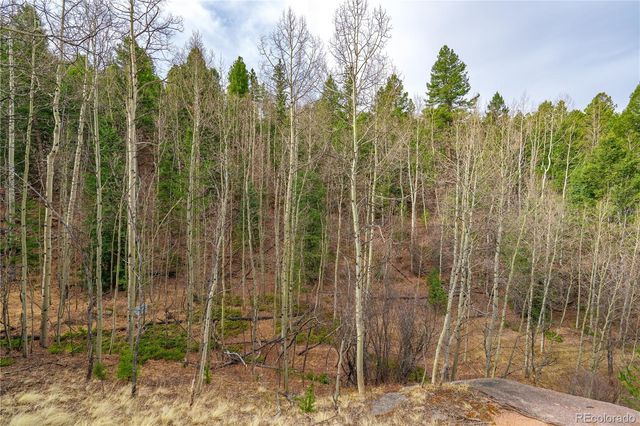130 Grey Eagle Way, Cripple Creek, CO 80813