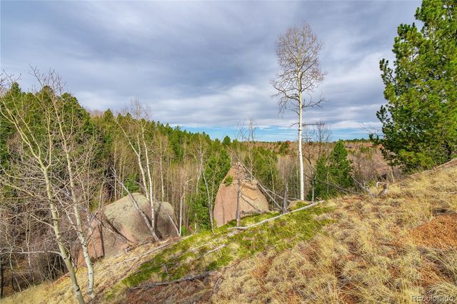 130 Grey Eagle Way, Cripple Creek, CO 80813
