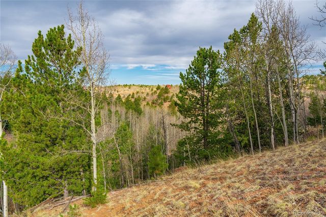 130 Grey Eagle Way, Cripple Creek, CO 80813
