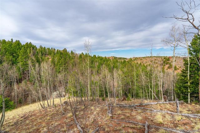 130 Grey Eagle Way, Cripple Creek, CO 80813