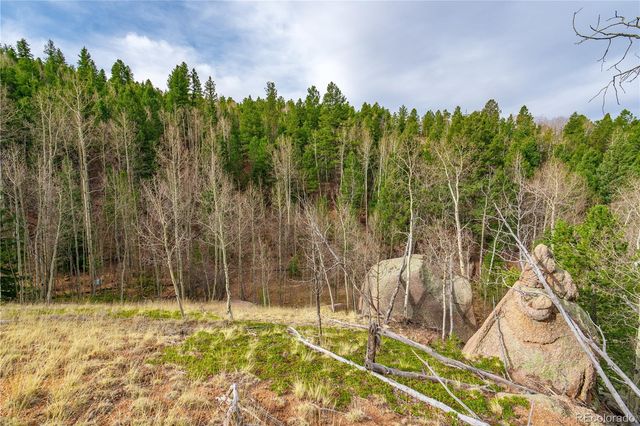130 Grey Eagle Way, Cripple Creek, CO 80813