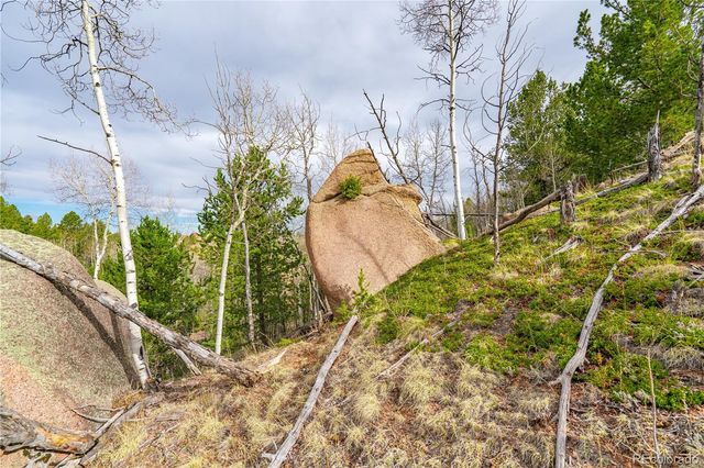 130 Grey Eagle Way, Cripple Creek, CO 80813