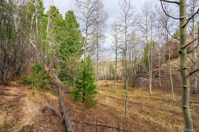 130 Grey Eagle Way, Cripple Creek, CO 80813