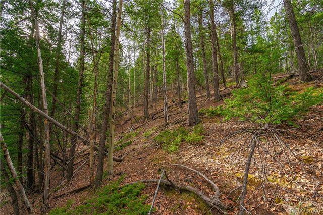130 Grey Eagle Way, Cripple Creek, CO 80813