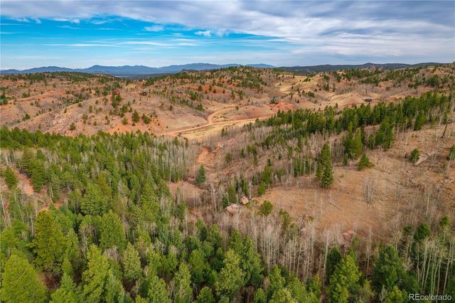 130 Grey Eagle Way, Cripple Creek, CO 80813