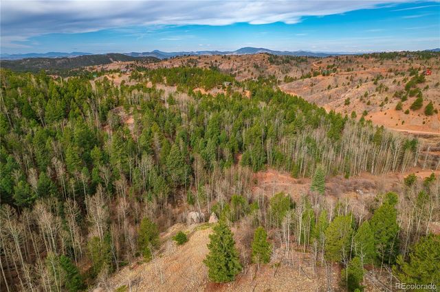 130 Grey Eagle Way, Cripple Creek, CO 80813