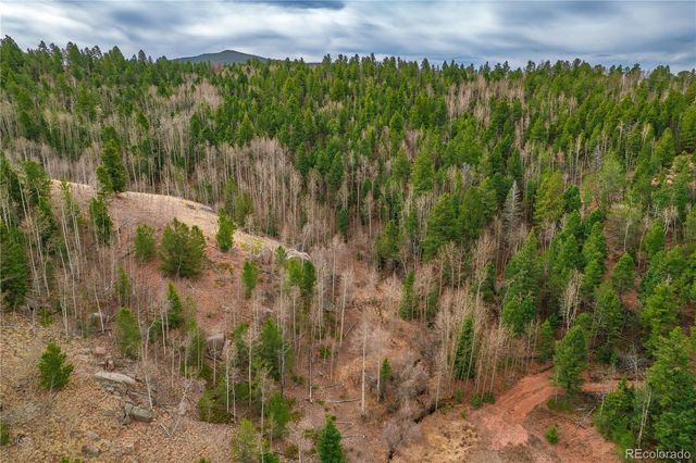 130 Grey Eagle Way, Cripple Creek, CO 80813