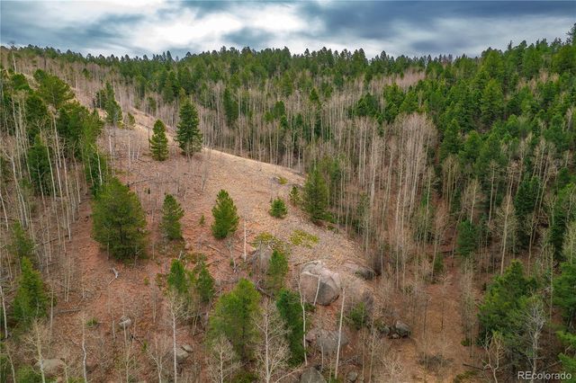 130 Grey Eagle Way, Cripple Creek, CO 80813