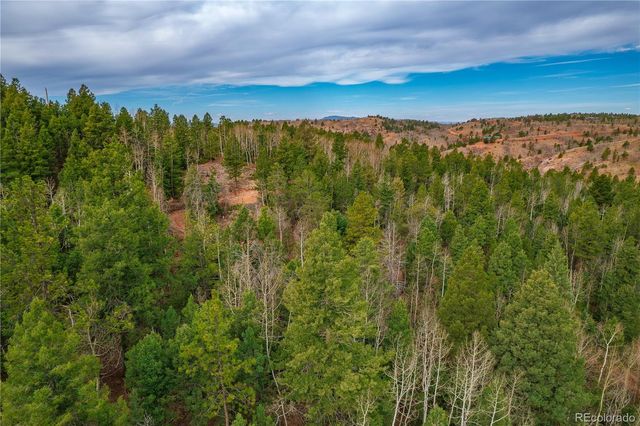 130 Grey Eagle Way, Cripple Creek, CO 80813