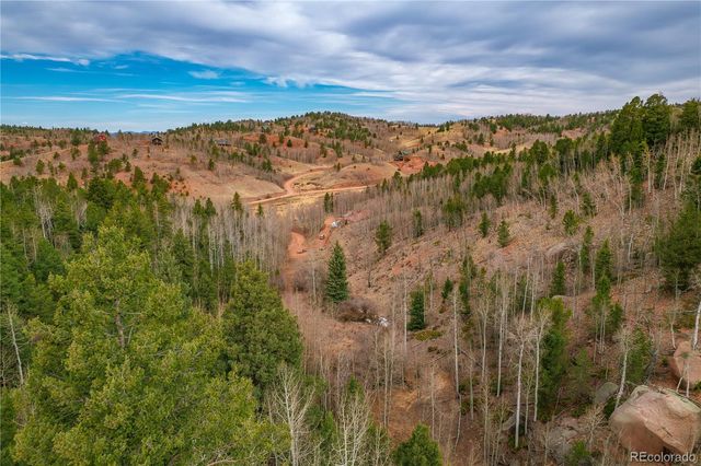 130 Grey Eagle Way, Cripple Creek, CO 80813