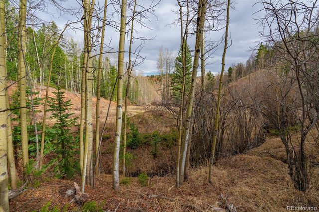 130 Grey Eagle Way, Cripple Creek, CO 80813