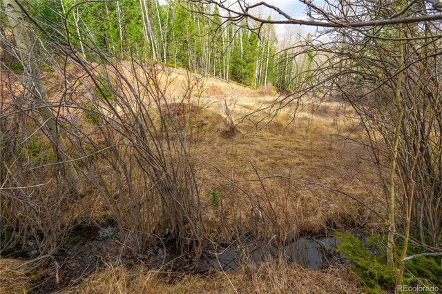 130 Grey Eagle Way, Cripple Creek, CO 80813