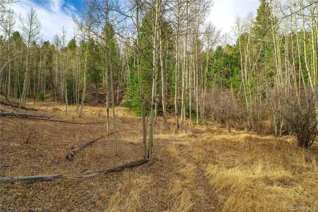 130 Grey Eagle Way, Cripple Creek, CO 80813
