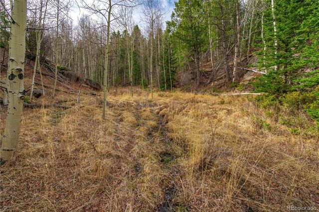 130 Grey Eagle Way, Cripple Creek, CO 80813