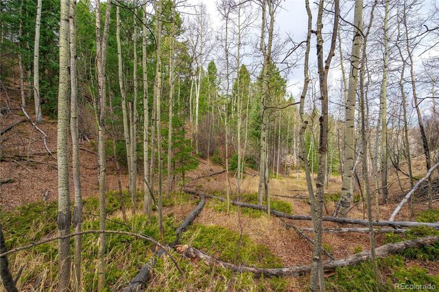 130 Grey Eagle Way, Cripple Creek, CO 80813