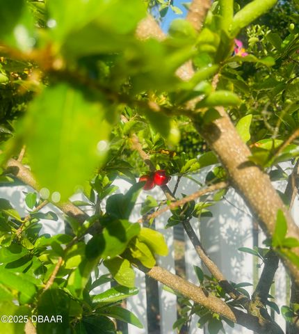 357 S Seneca Boulevard, Daytona Beach, FL 32114