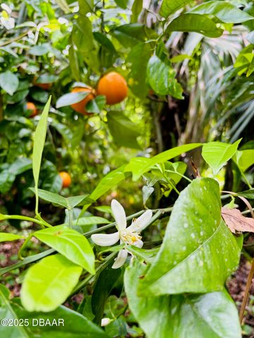 357 S Seneca Boulevard, Daytona Beach, FL 32114