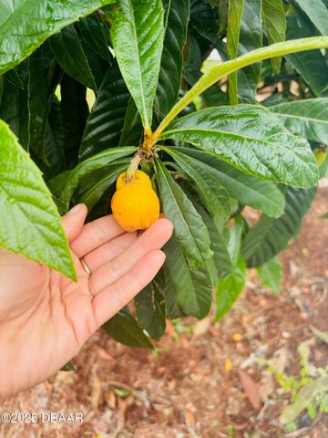 357 S Seneca Boulevard, Daytona Beach, FL 32114