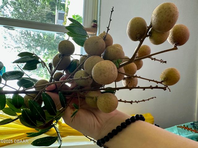 357 S Seneca Boulevard, Daytona Beach, FL 32114