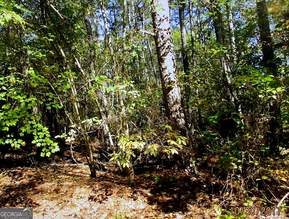 1404 Northgate Drive, Villa Rica, GA 30180