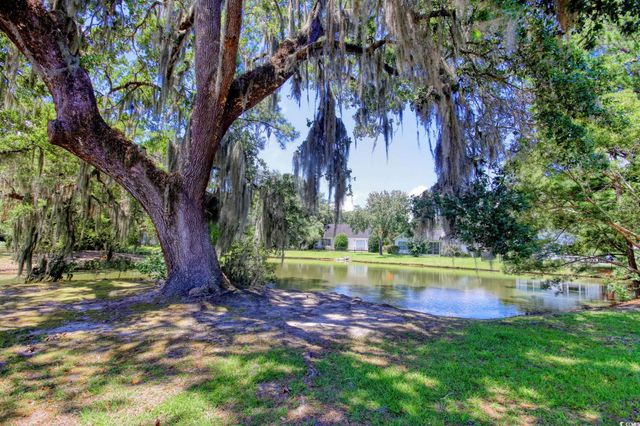 23 Robert Conway Ct., Georgetown, SC 29440
