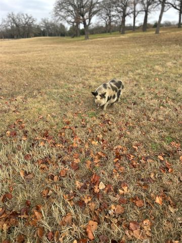 2416 County Road 317, Keene, TX 76031