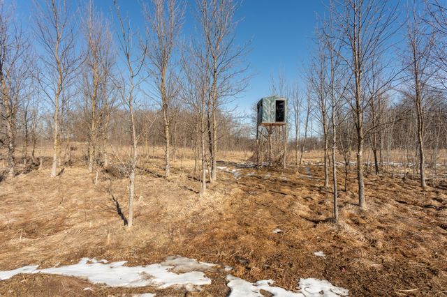 4595 Cotton Tail Lane NW, Alexandria, MN 56308