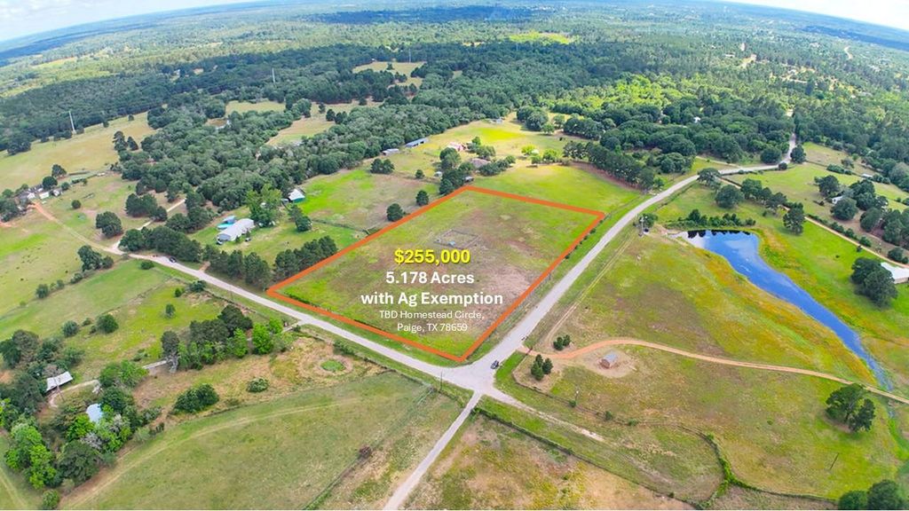 TBD Homestead CIR, Paige, TX 78659