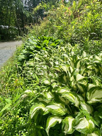 4 Reservoir Road, Brattleboro, VT 05301
