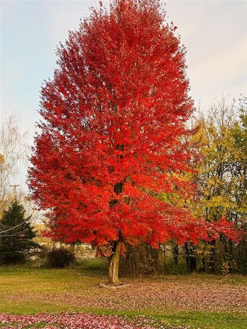 4055 Mathews Road, Spring Arbor, MI 49283