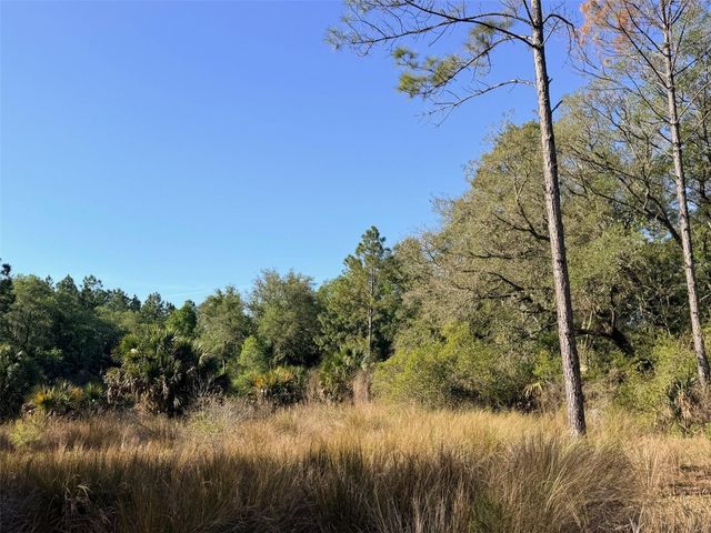 6650 NW 110TH AVENUE, Chiefland, FL 32626