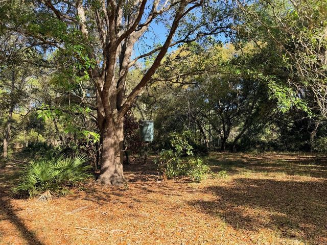 6650 NW 110TH AVENUE, Chiefland, FL 32626