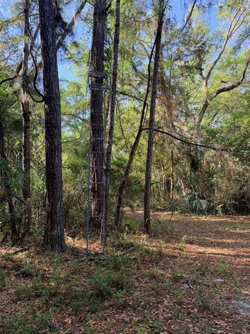 6650 NW 110TH AVENUE, Chiefland, FL 32626