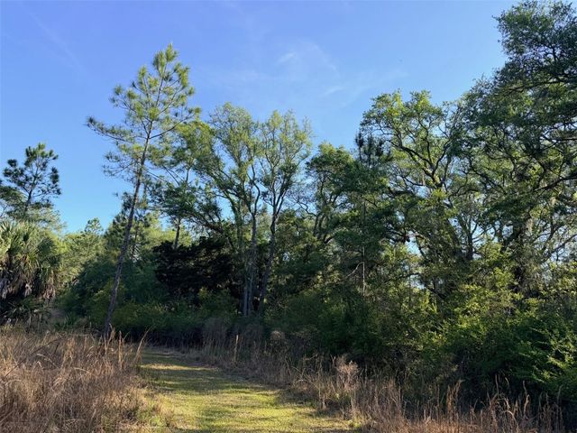 6650 NW 110TH AVENUE, Chiefland, FL 32626