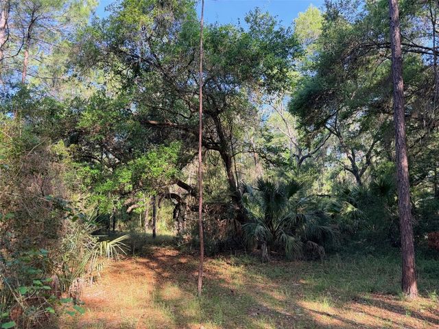 6650 NW 110TH AVENUE, Chiefland, FL 32626