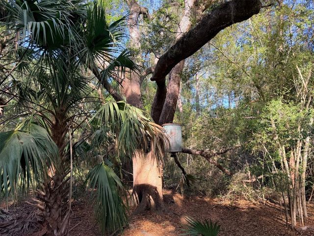 6650 NW 110TH AVENUE, Chiefland, FL 32626