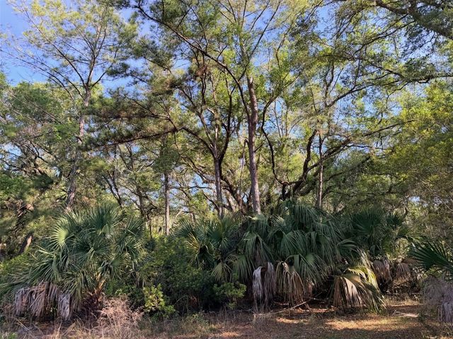 6650 NW 110TH AVENUE, Chiefland, FL 32626
