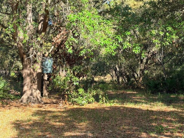6650 NW 110TH AVENUE, Chiefland, FL 32626