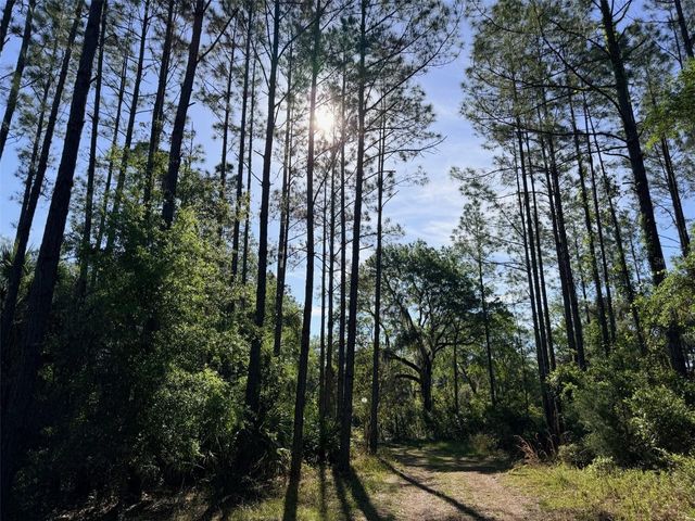 6650 NW 110TH AVENUE, Chiefland, FL 32626