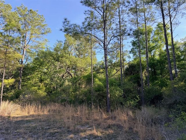 6650 NW 110TH AVENUE, Chiefland, FL 32626