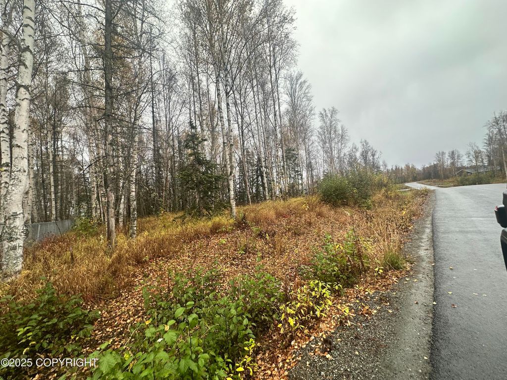 5850 E Pamela Drive, Wasilla, AK 99654