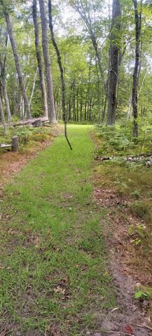 5415 24th Avenue NE, Longville, MN 56655