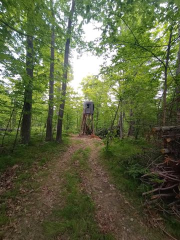 5415 24th Avenue NE, Longville, MN 56655