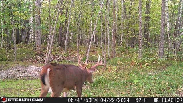 5415 24th Avenue NE, Longville, MN 56655