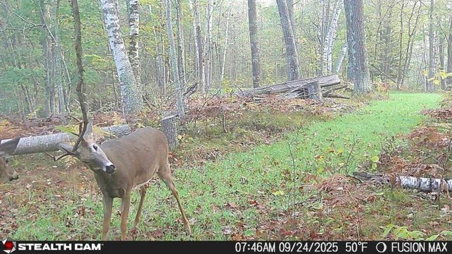 5415 24th Avenue NE, Longville, MN 56655