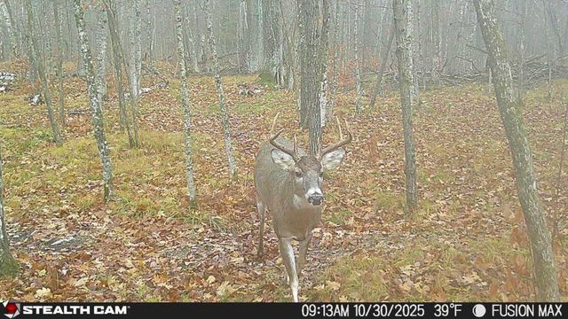 5415 24th Avenue NE, Longville, MN 56655