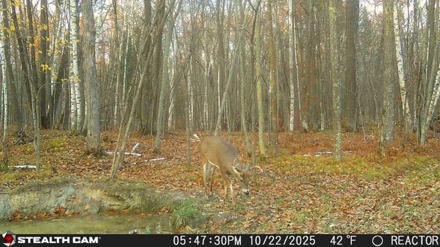 5415 24th Avenue NE, Longville, MN 56655