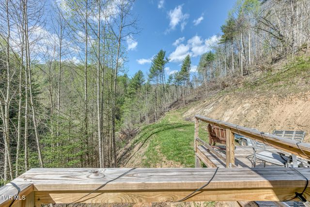 633 T Greer Road, Mountain City, TN 37683